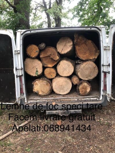 Lemne de foc specii tare livrare gratis 068941434