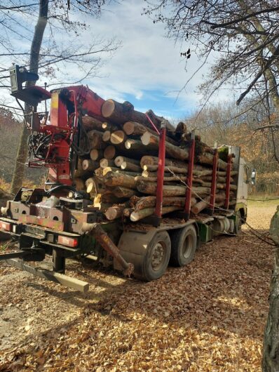 S.c vinde lemn de foc esenta tare cu livrare in Valcea, Olt, Dolj