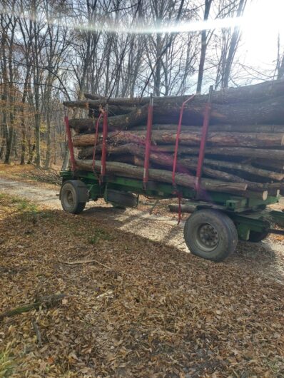 S.c vinde lemn de foc esenta tare cu livrare in Valcea, Olt, Dolj