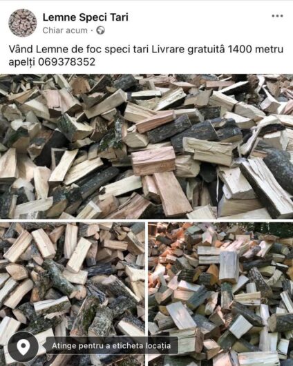 Lemne de foc speci tari Livrare gratuita 1400 metru cub pentru mai lute detali 069378352 apelaț