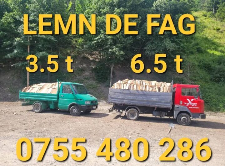 Xtransport Srl Lemn de foc