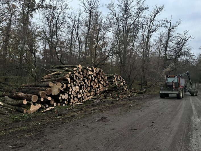 Vand lemn de foc in Judetul Arad.