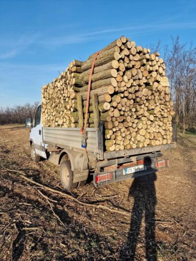 Lemn foc salcîm ! GALATI