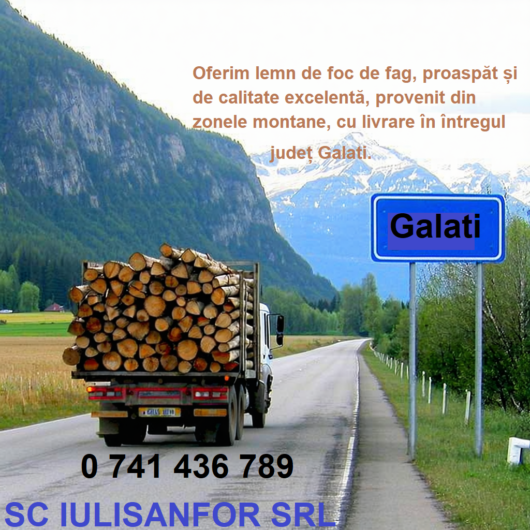 Umbrărești-Județul Galați. Confortul și căldura iernii, fără efort! Alege lemnul de foc de la SC IULISANFOR SRL.