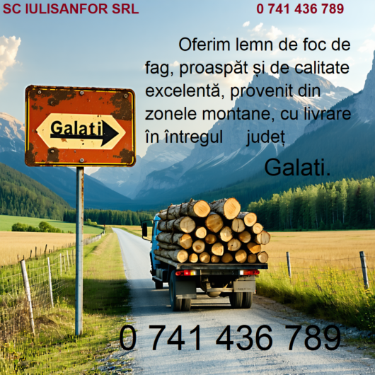 Tudor Vladimirescu-Județul Galați. Confortul și căldura iernii, fără efort! Alege lemnul de foc de la SC IULISANFOR SRL.