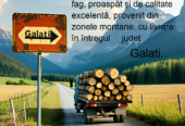 Foltești-Județul Galați. Confortul și căldura iernii, fără efort! Alege lemnul de foc de la SC IULISANFOR SRL.