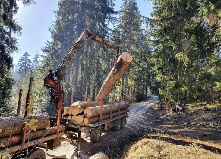 Lupeni. Vand lemn de foc fag despicat de buna calitate in cantitati mai mari! Csíki Fatelep