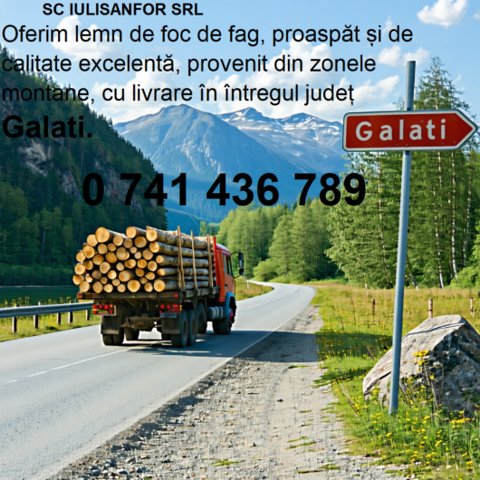 Tulucesti-Județul Galați. Confortul și căldura iernii, fără efort! Alege lemnul de foc de la SC IULISANFOR SRL.