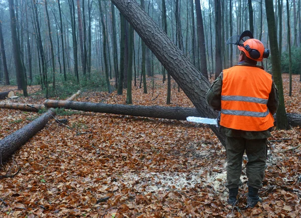 Dacă ai o firmă de exploatări forestiere, noi ne ocupăm de prezența ta online, transformă-ți afacerea într-un lider de piață.